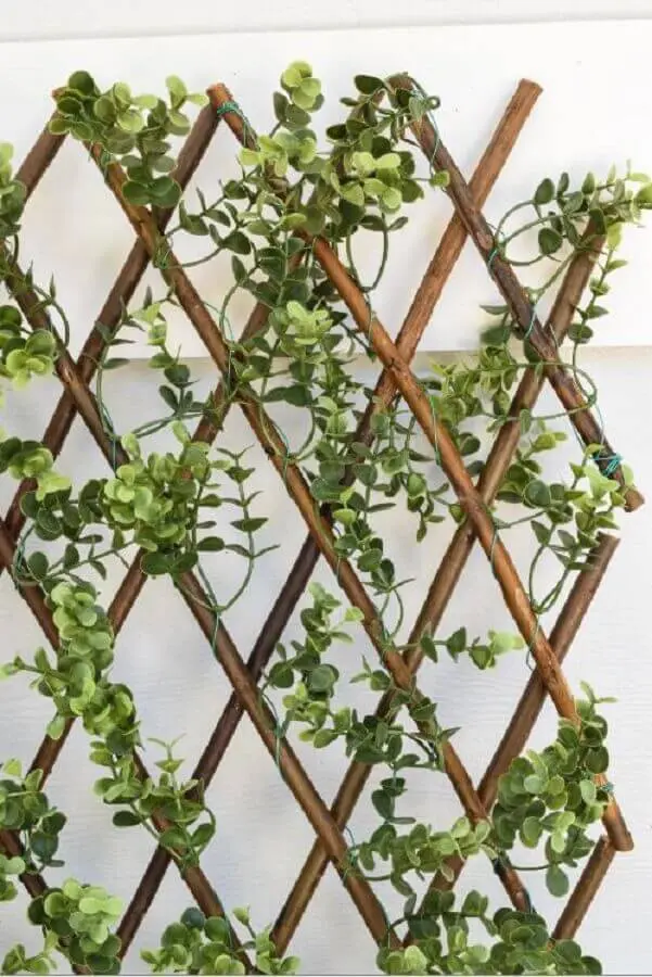 tipos de treliças de madeira para jardim vertical Foto Home Decorative Accents