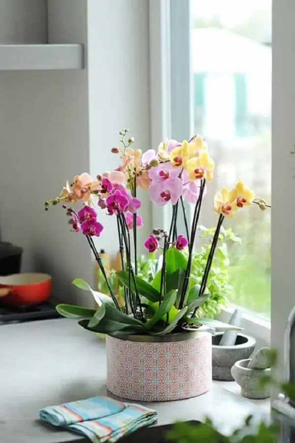 Flores tropicais decoração com orquídeas 