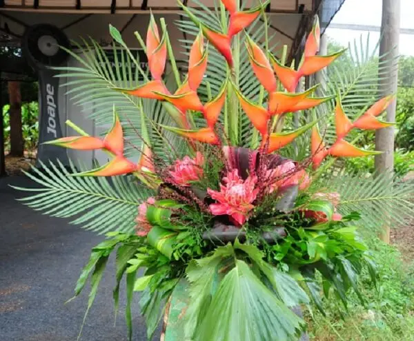 Flores tropicais helicônias
