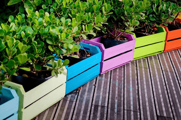 Jardim com caixotes coloridos