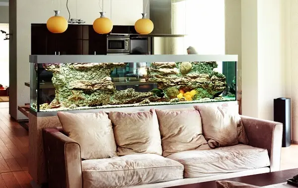 O aquário pode ficar posicionado atrás do sofá separando ambientes