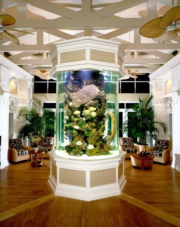 As plantas para aquário são o ponto central na decoração desse ambiente