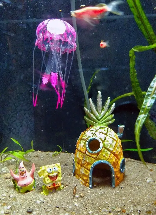 Ornamentos divertidos para decorar o aquário