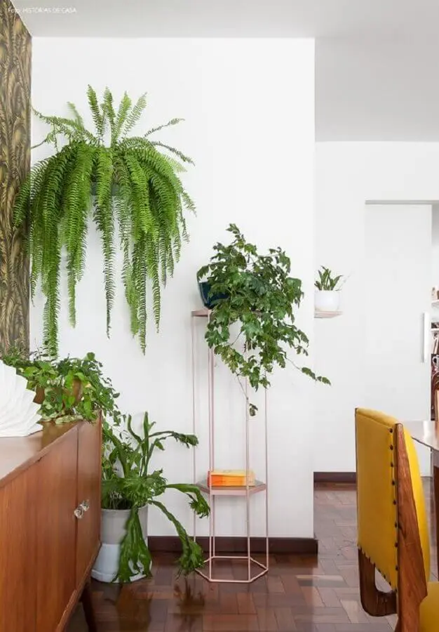 Decoração de casa com plantas pendentes Foto Pinterest