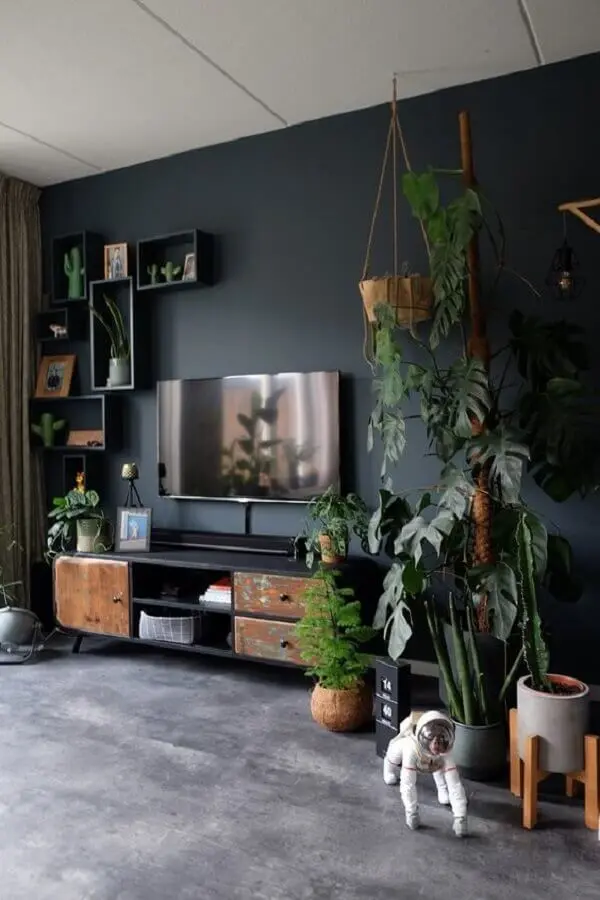 cor cinza chumbo para decoração de sala de estar com vários vasos de plantas Foto ZoSammieEnzo