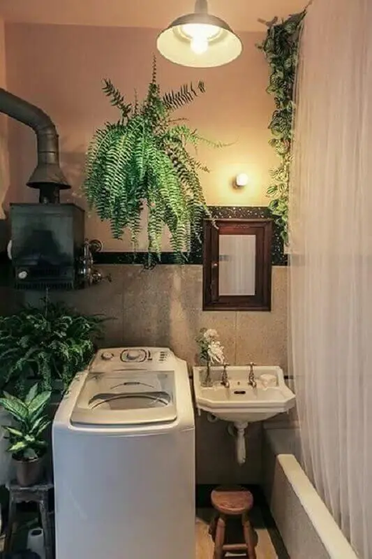 plantas pendentes para decoração de lavanderia simples e pequena