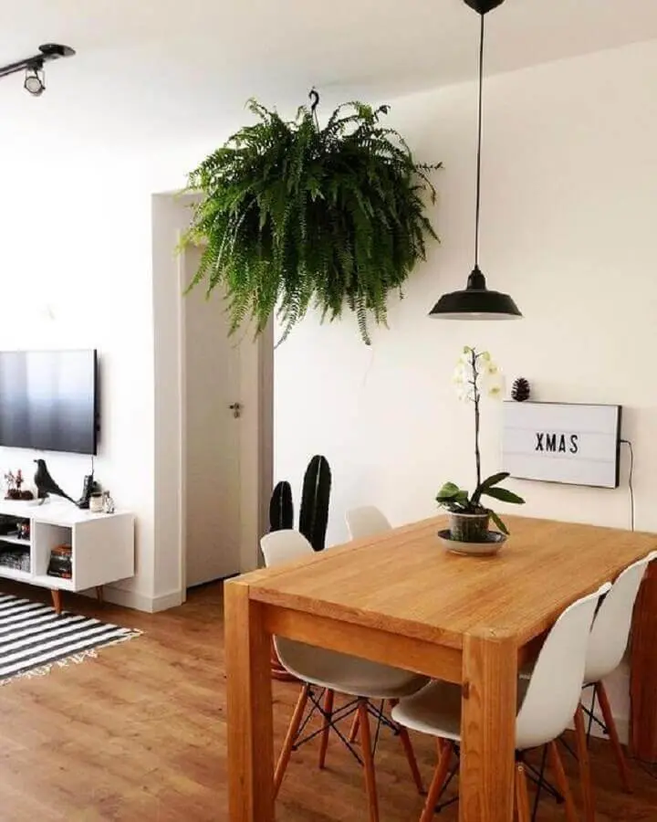 plantas pendentes samambaia para decoração de sala de jantar pequena e simples Foto Archello