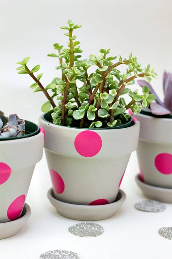 Plantas pequenas com vaso rosa e bege