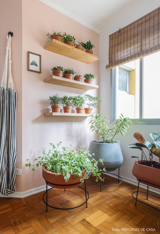 Plantas pequenas na prateleira de casa moderna
