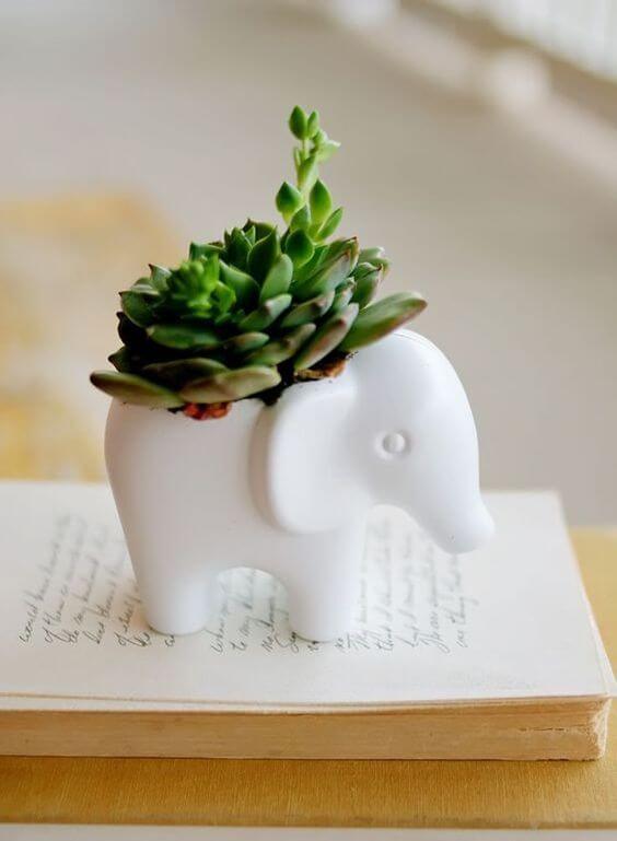 Plantas pequenas em vasos decorativos modernos