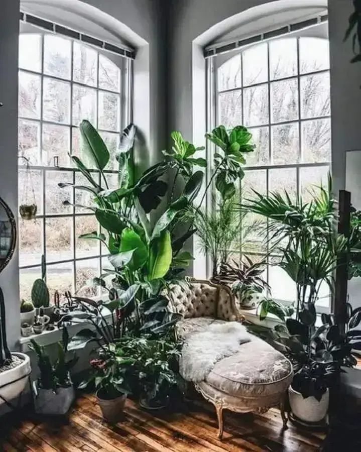 Urban Jungle: Vivendo com Plantinhas Dentro de Casa