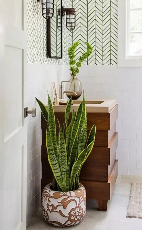decoração com plantas no banheiro Foto Pinterest