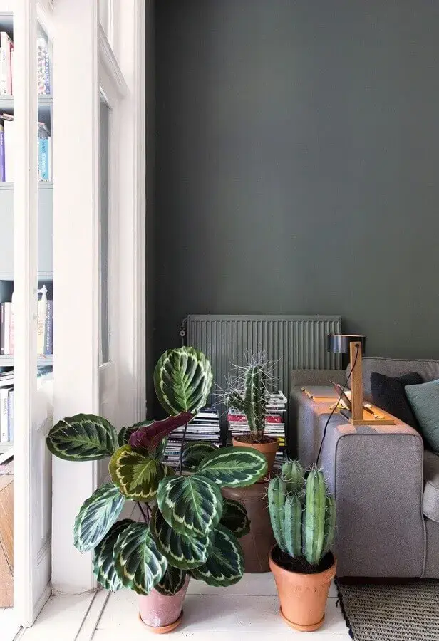 decoração com plantas para sala cinza moderna Foto Follow The Colours