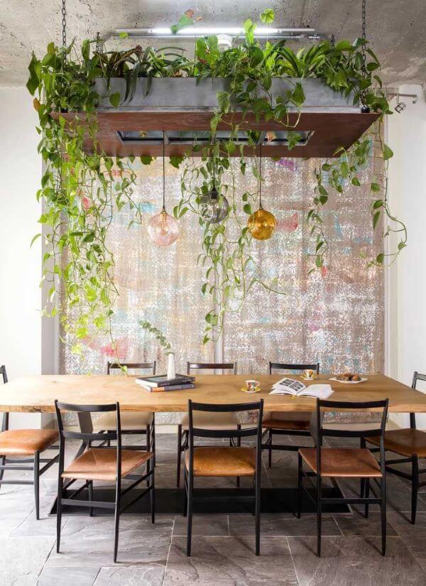 Mesa de jantar com vasos de planta jiboia suspensos