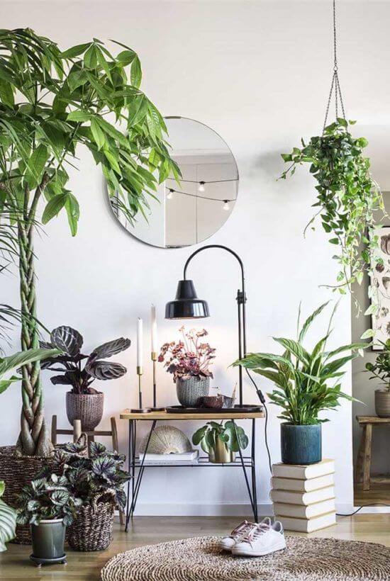 Cantinho da casa com plantas variadas na decoração