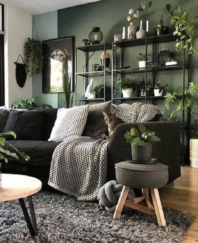 sala verde decorada com vários vasos de plantas e sofá preto Foto Homedit