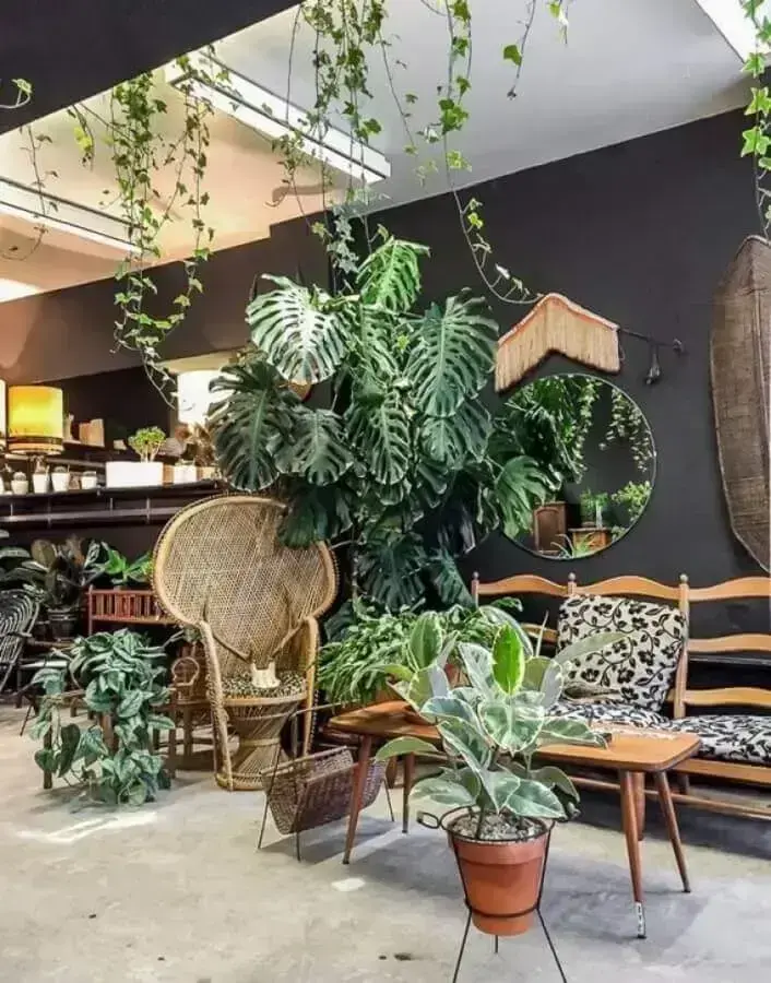 Urban Jungle: Vivendo com Plantinhas Dentro de Casa