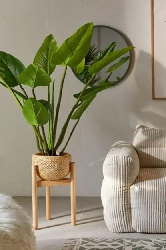 vasos com plantas para decoração de sala de estar Foto Urban Outfitters