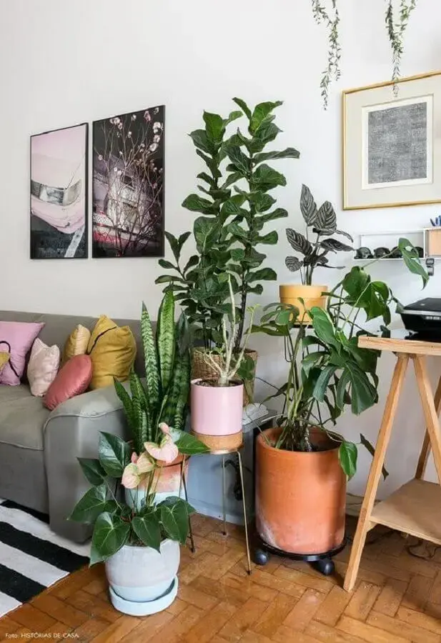 vasos com plantas para decoração de sala de estar simples Foto Histórias de Casa