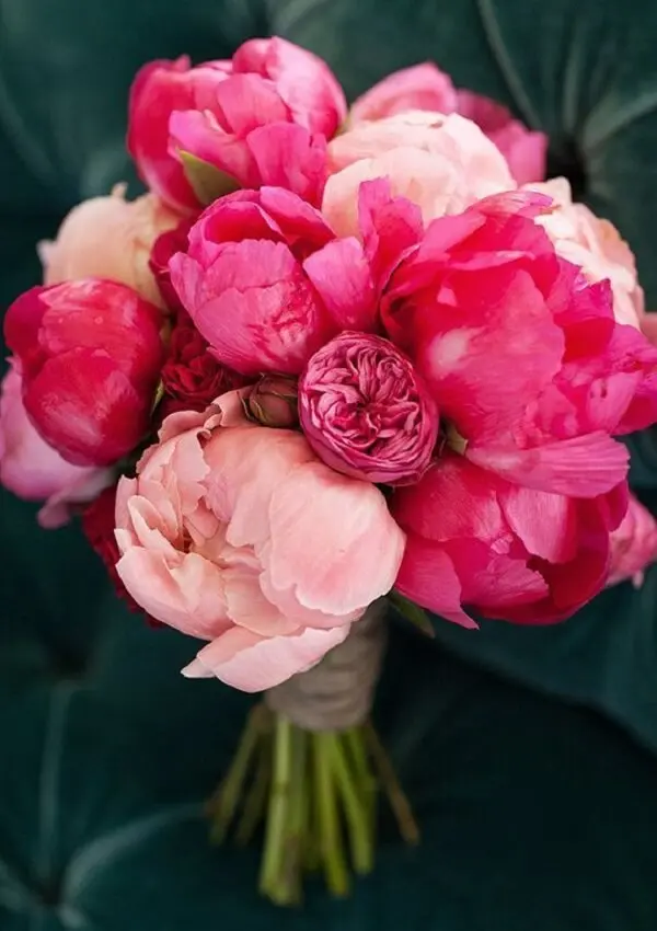 Peônia: Conheça e Se Apaixone pela Beleza Exótica Dessa Flor