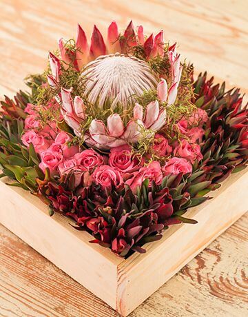 Enfeite com flores exóticas: protea