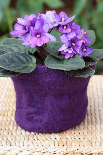 Vaso flor roxa violeta