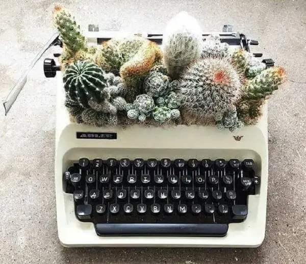 Que tal montar um lindo terrário de suculentas e cactos em antiga máquina de escrever?