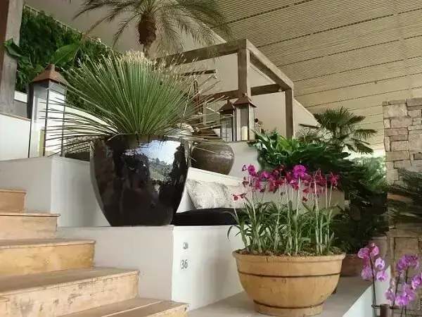 Use a abuse de vasos de plantas na decoração da casa simples. Fonte: Free Image