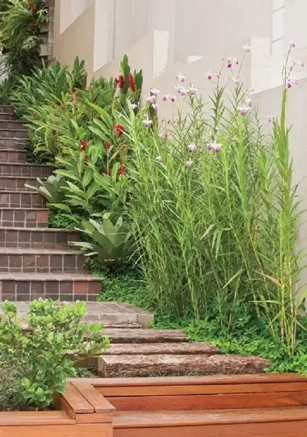 A orquídea bambu muro foi plantada na lateral da escada