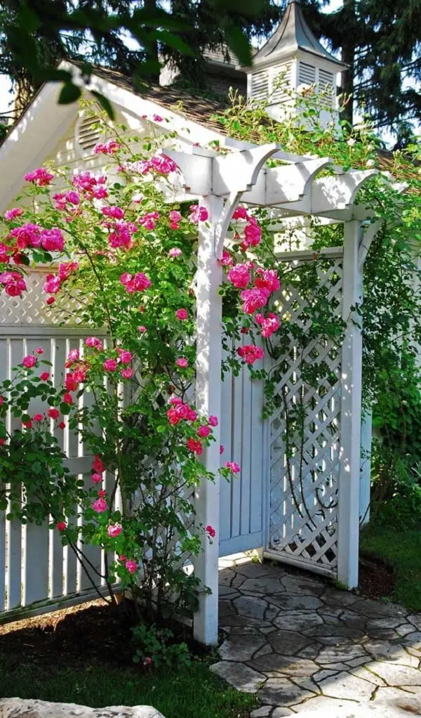 A rosa trepadeira fixada no pequeno caramanchão branco traz cor para a entrada da casa