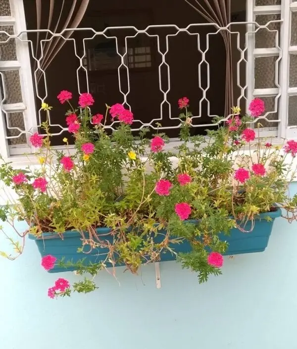 Floreira de parede externa feita de plástico