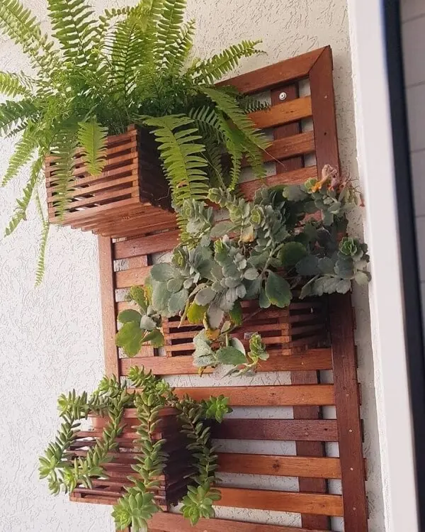 Você pode colocar diferentes tipos de plantas na sua floreira de parede