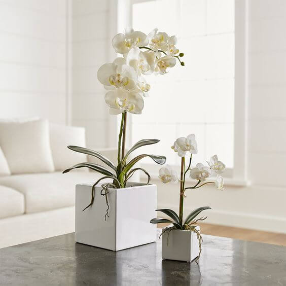 Centro de mesa orquídeas brancas