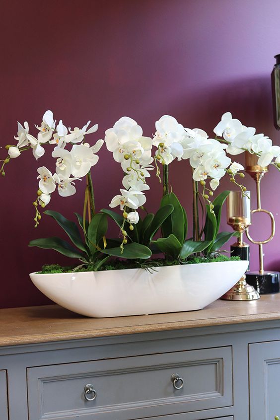 Orquídea branca com vaso na decoração de casa