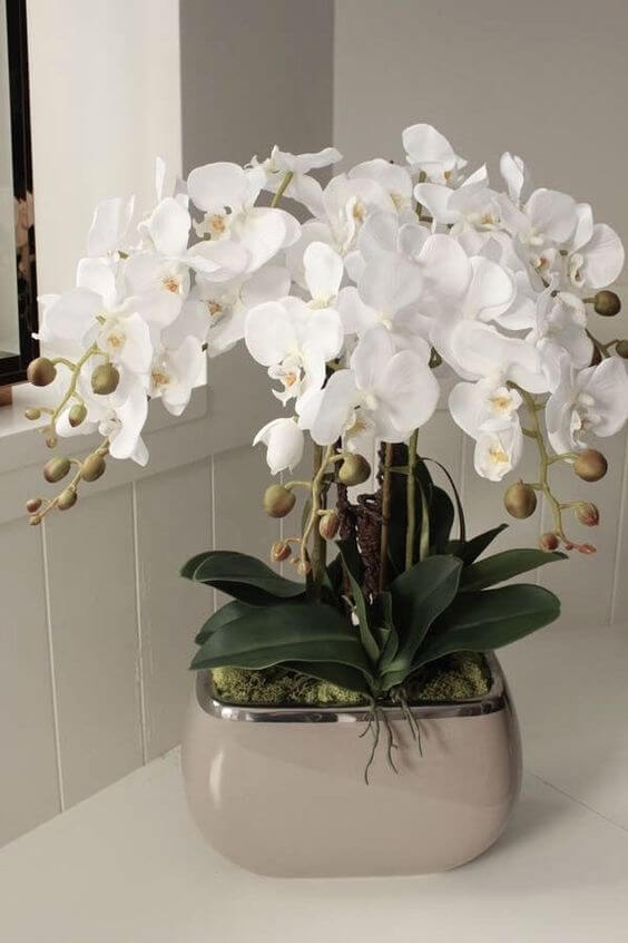 Vaso de orquídea branca espelhado