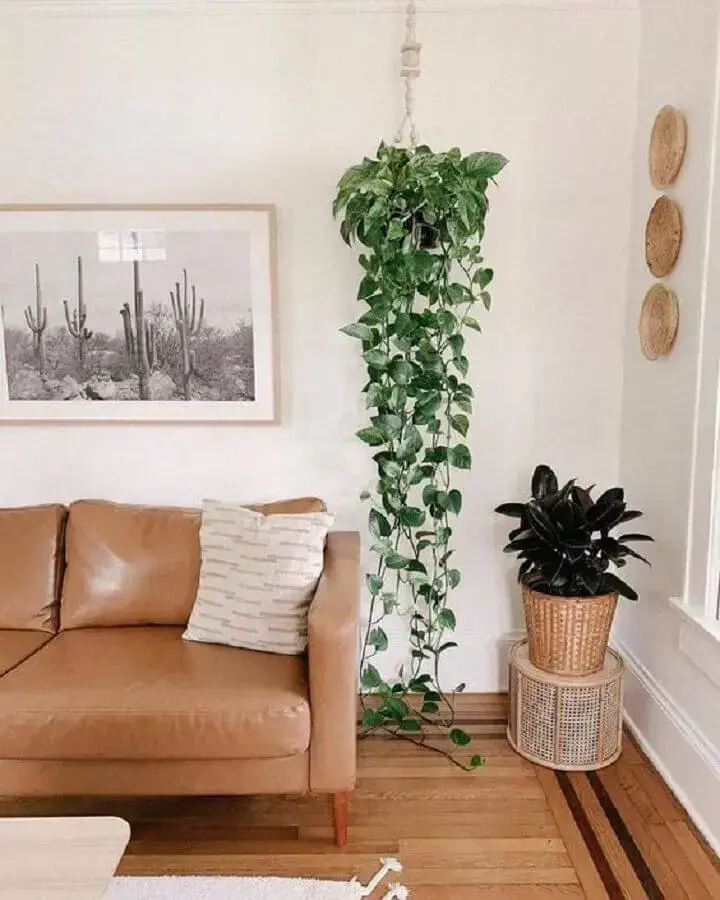vaso de planta pendente e quadro para decoração de sala de estar com parede branca Foto Jeito de Casa