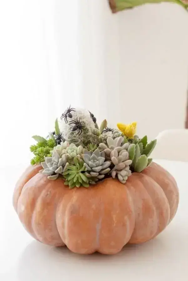 A abóbora de halloween foi usada como vaso para suculentas