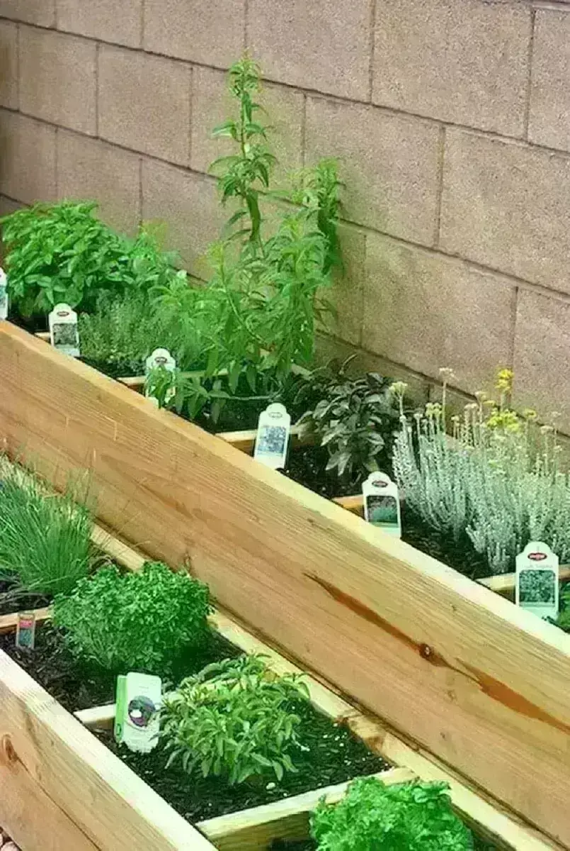 caixas de madeira planejadas para fazer horta orgânica em casa Foto Pinterest