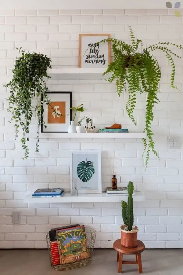 decoração clean com prateleira para plantas em parede de tijolinho Foto Carol Tasiro