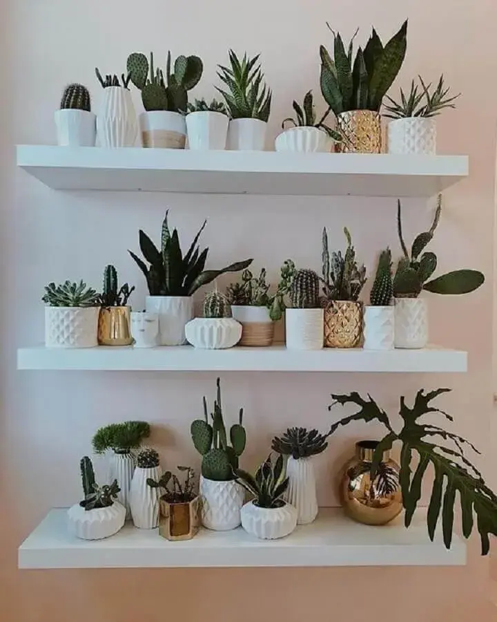 decoração com prateleira para vasos de plantas Foto Pinterest