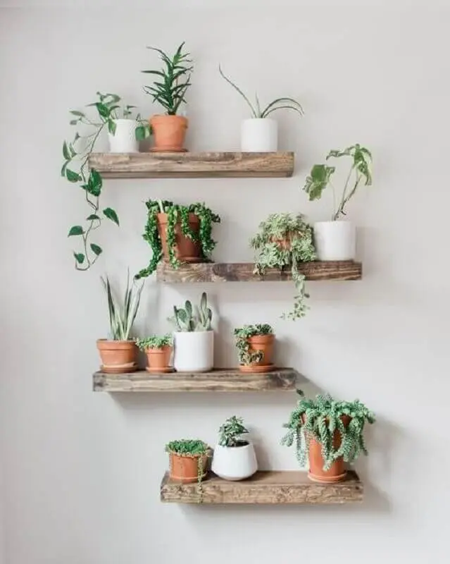 decoração rústica com prateleira de madeira para plantas Foto Pinterest