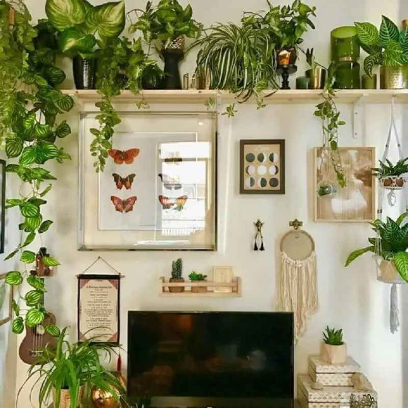 decoração simples com prateleira para plantas Foto Messy By Design
