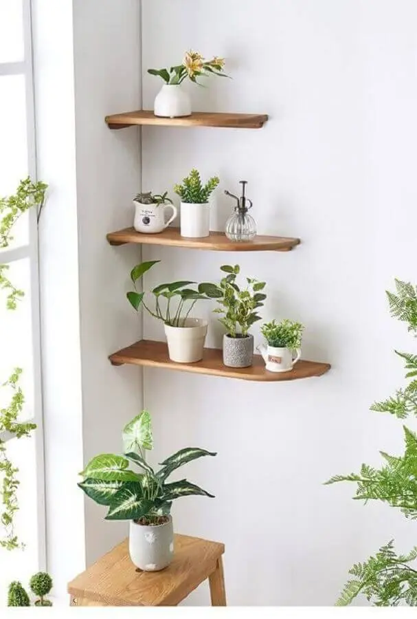 delicada decoração com prateleira de madeira para plantas Foto Pinterest