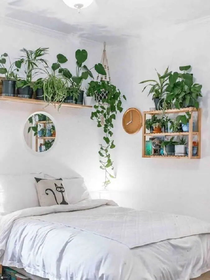 quarto simples decorado com prateleira de madeira para plantas Foto Terrários & Suculentas