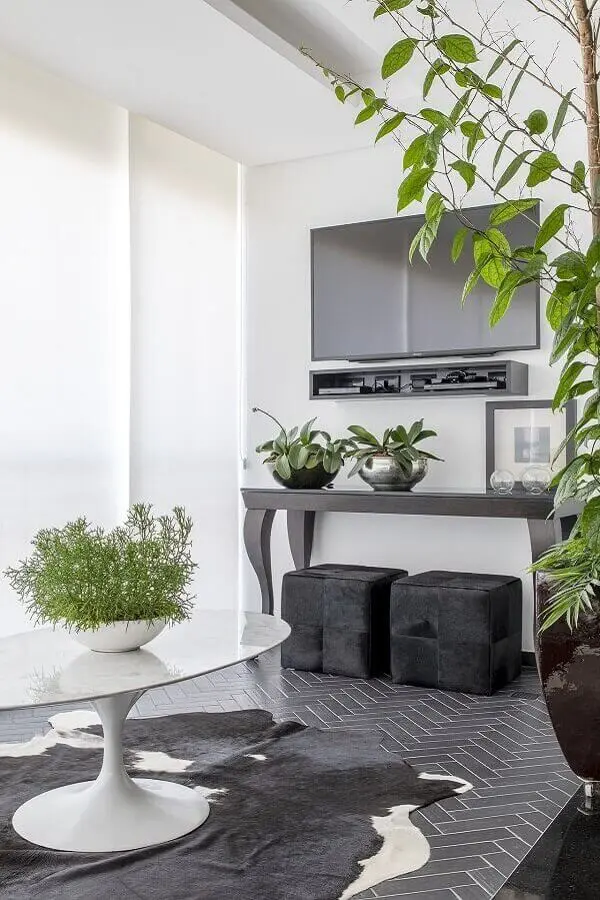 tapete de couro e vasos com plantas para decoração de sala moderna Foto MIS Arquitetura e Interiores