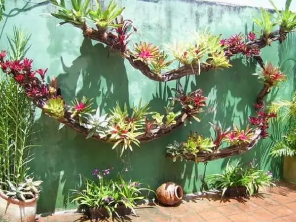 As plantas são ótimas para decoração de muro externo