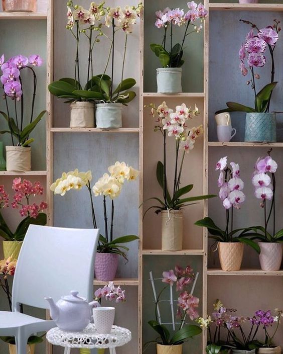 Estante decorada com vasos de orquídea 