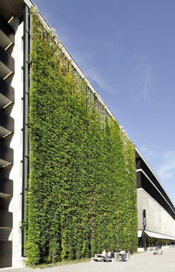 Muros bonitos com plantas
