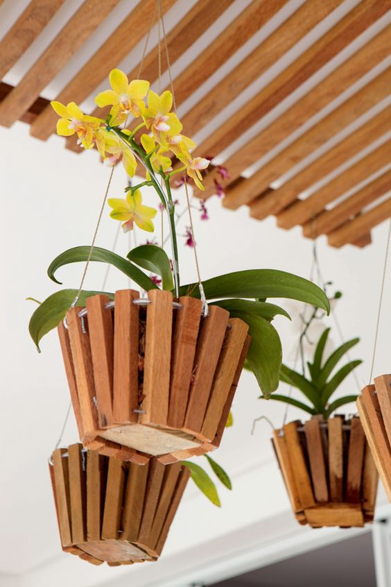 Vaso de orquídea amarela