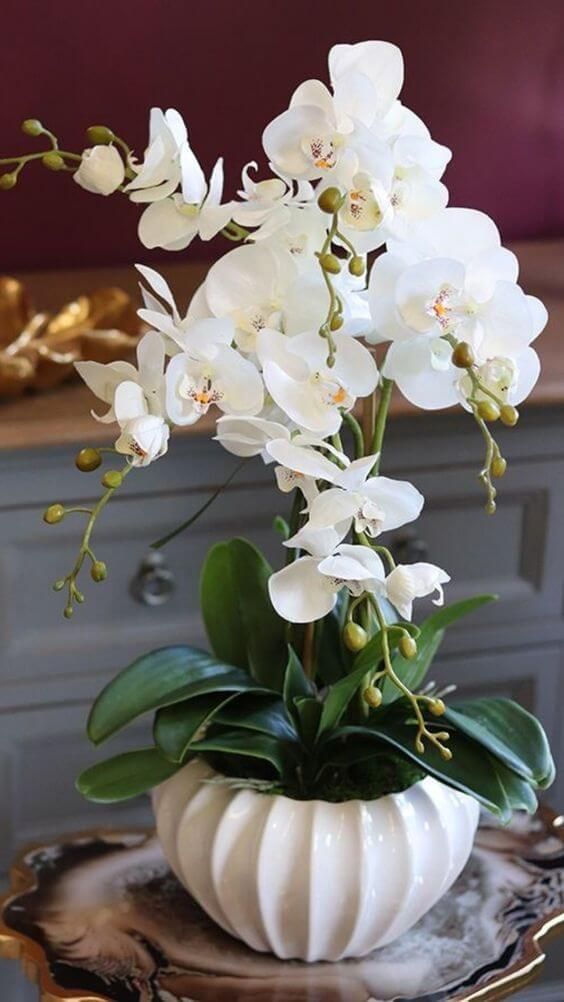 Vaso branco para orquídea